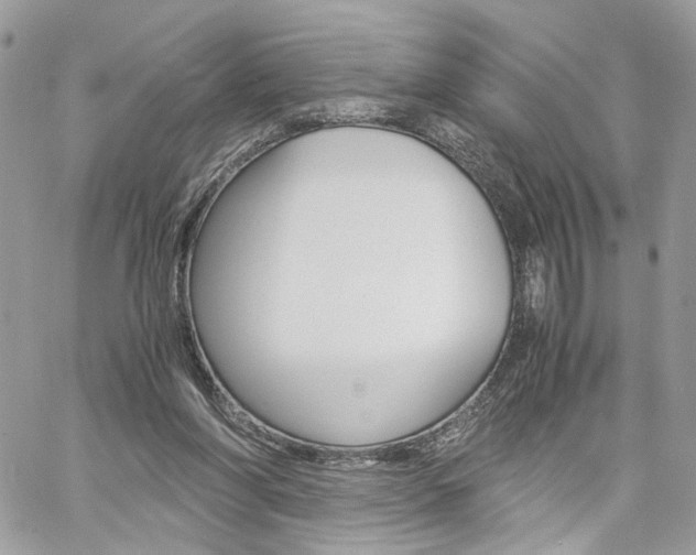 X0000061120206200511180918