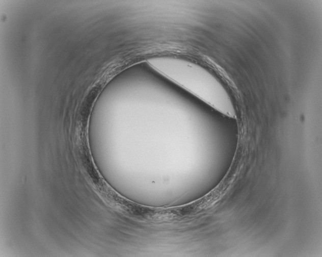 X0000061120209200511180918