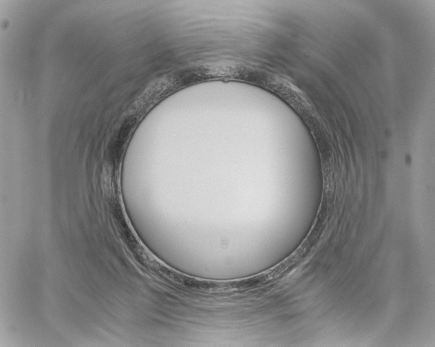 X0000061120213200511180917