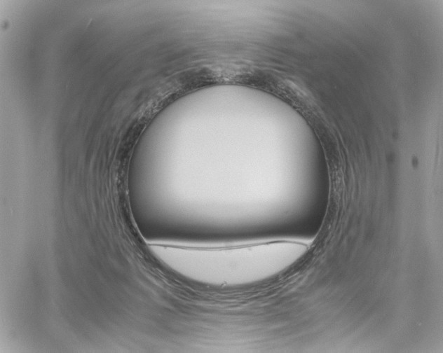 X0000061120221200511180917