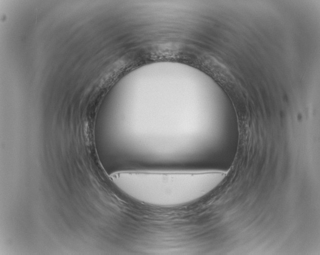 X0000061120224200511180917