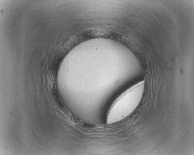 X0000061120227200511180917