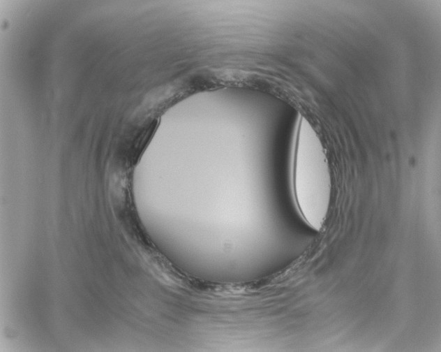 X0000061120235200511180917
