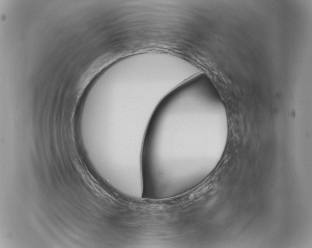 X0000061120242200511180916