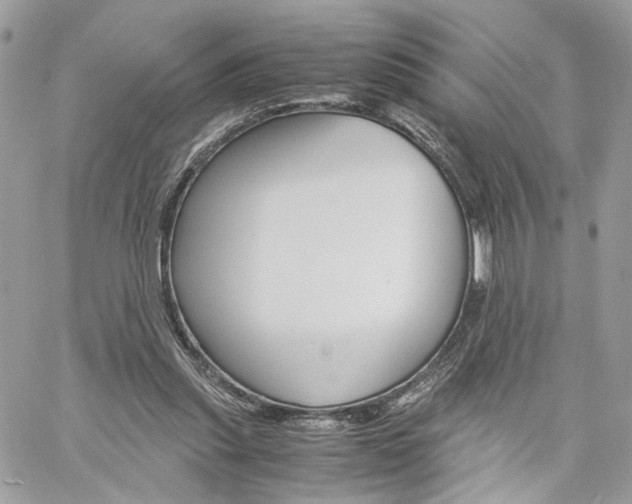 X0000061120253200511180916