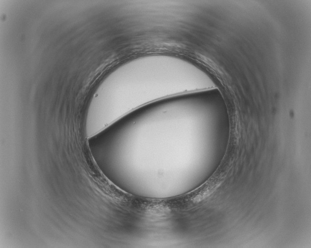 X0000061120258200511180917