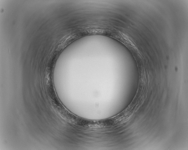 X0000061120259200511180917