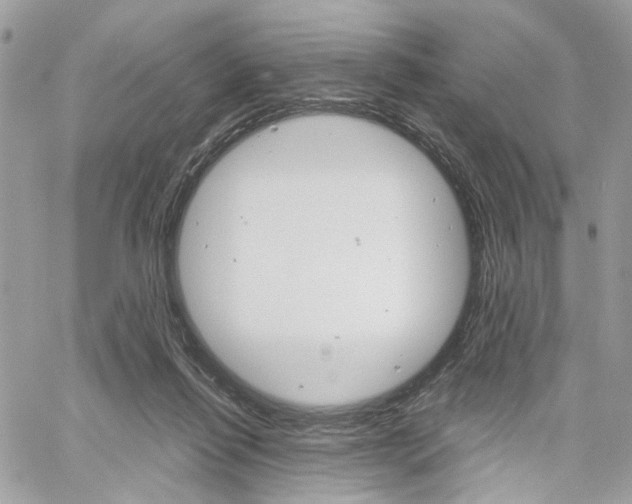 X0000061120262200511180917