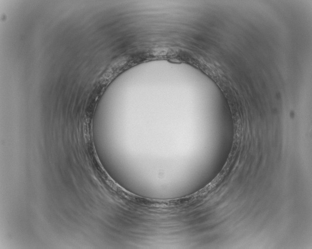 X0000061120272200511180917