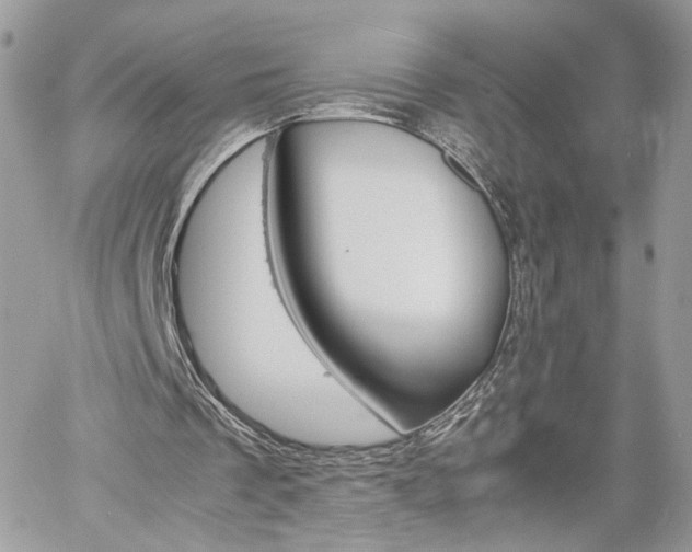 X0000061120289200511180916