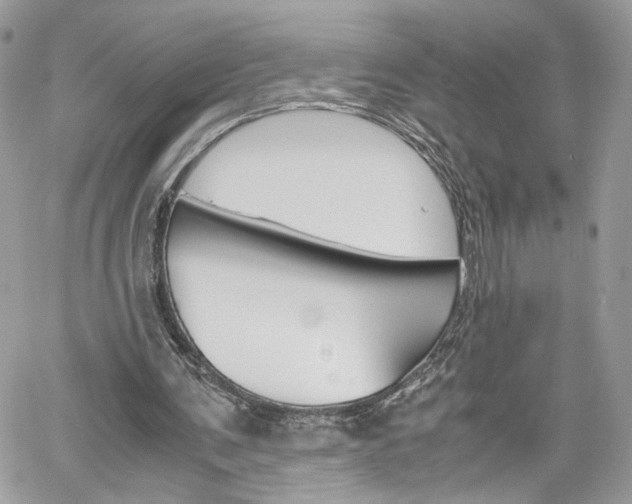 X0000061120291200511180916