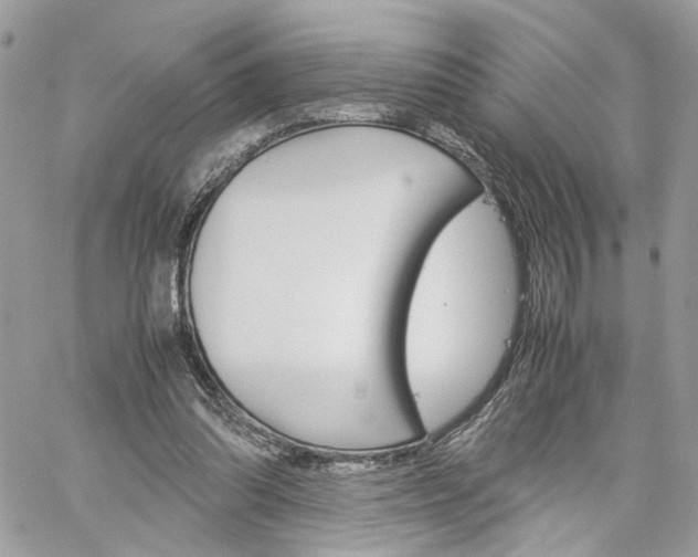 X0000061120302200511180916