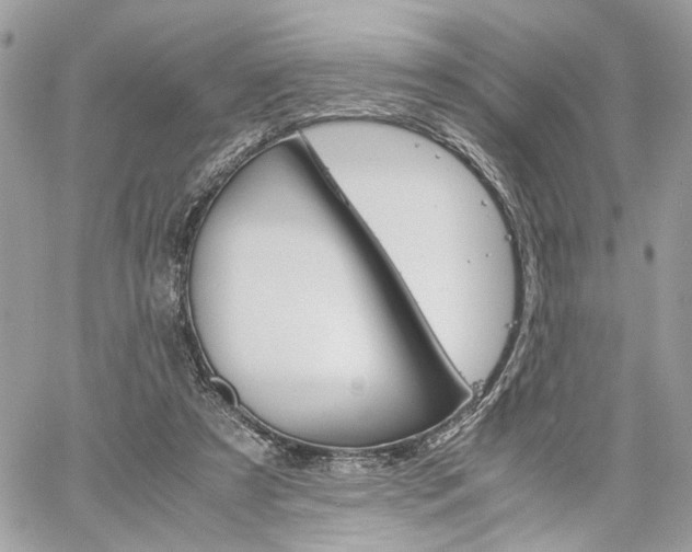 X0000061120305200511180916