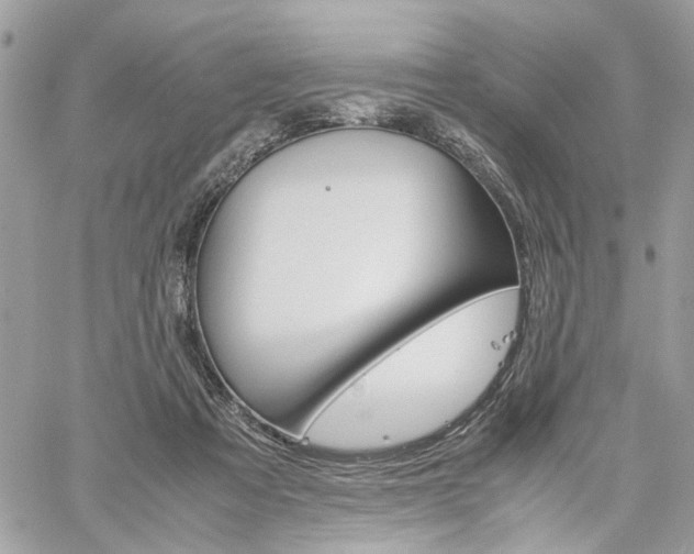 X0000061120313200511180916