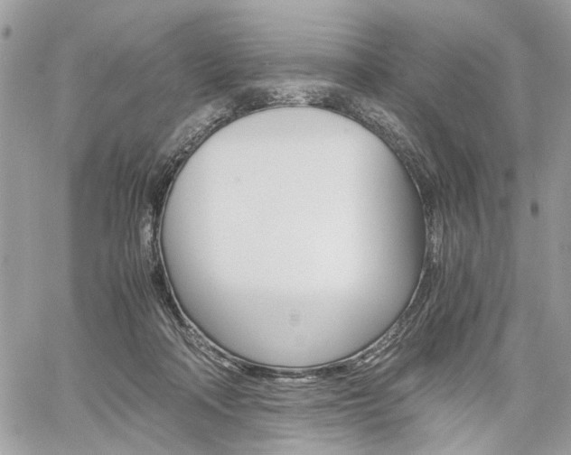 X0000061120314200511180916