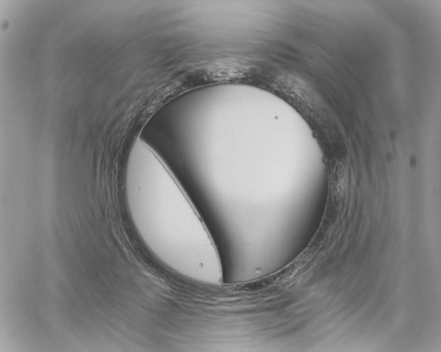 X0000061120315200511180916
