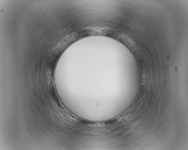 X0000061120318200511180916