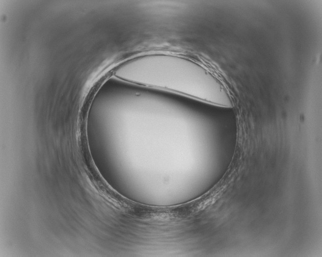 X0000061120344200511180915