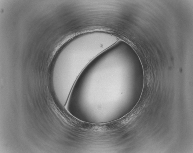 X0000061120350200511180915