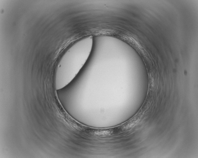 X0000061120357200511180915