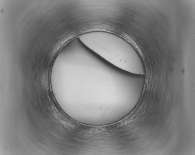 X0000061120386200511180915