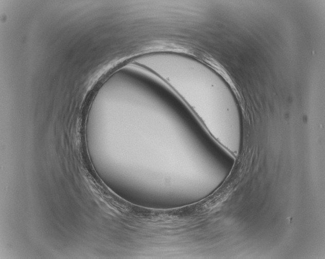 X0000061120387200511180915