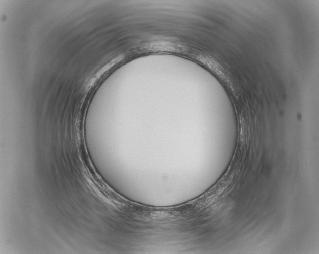 X0000061120390200511180915
