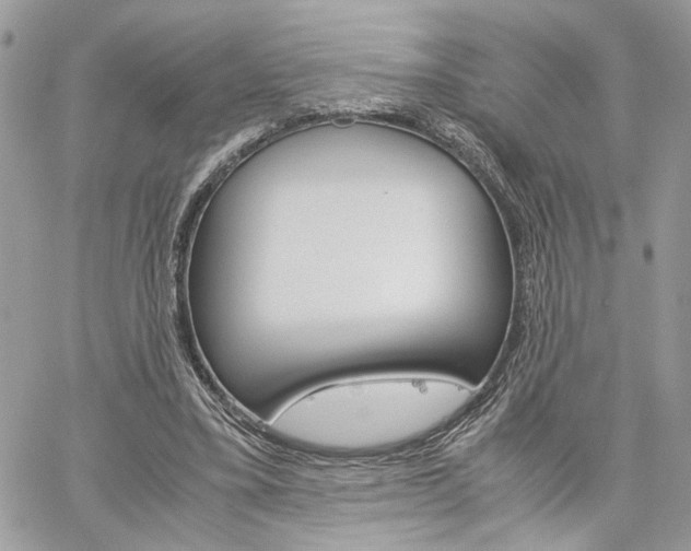 X0000061120395200511180914
