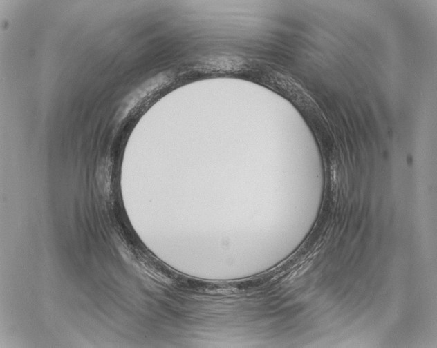 X0000061120396200511180914