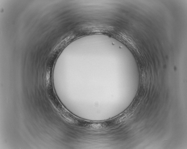 X0000061120406200511180914