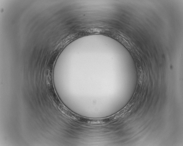 X0000061120414200511180914