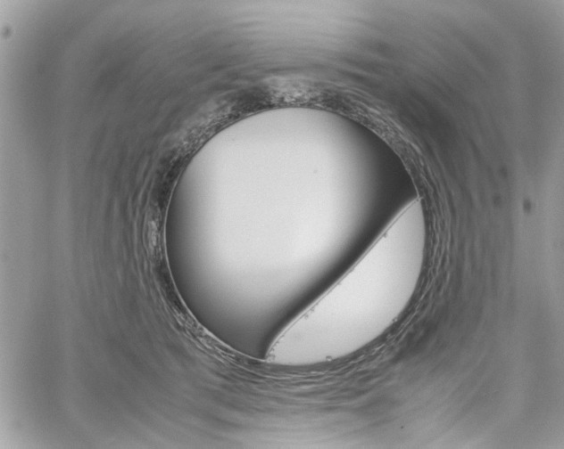 X0000061120417200511180914