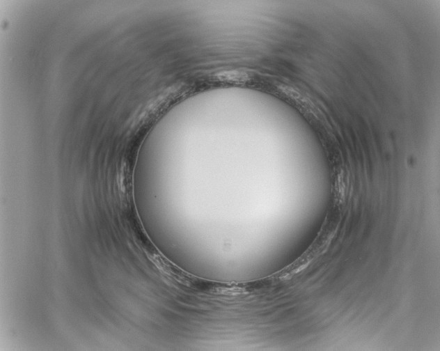 X0000061120424200511180914