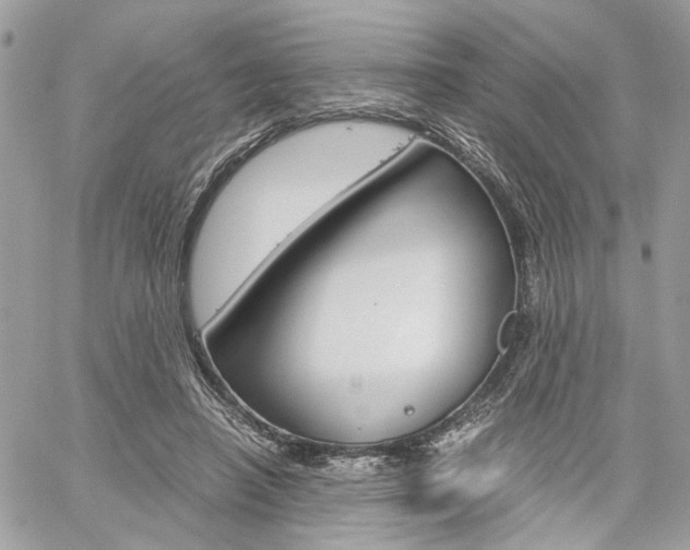 X0000061120450200511180913