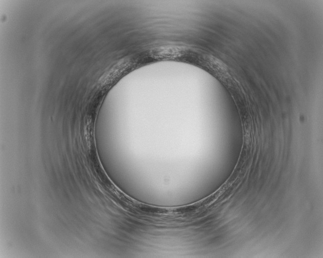 X0000061120460200511180914