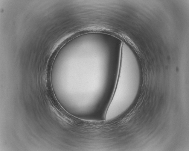 X0000061120484200511180913