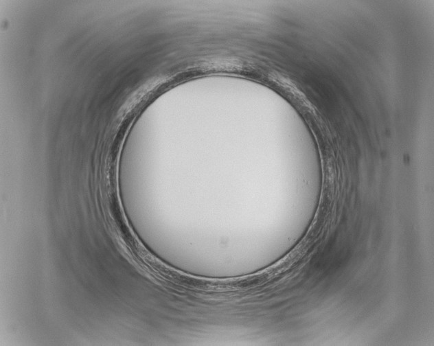 X0000061120487200511180913