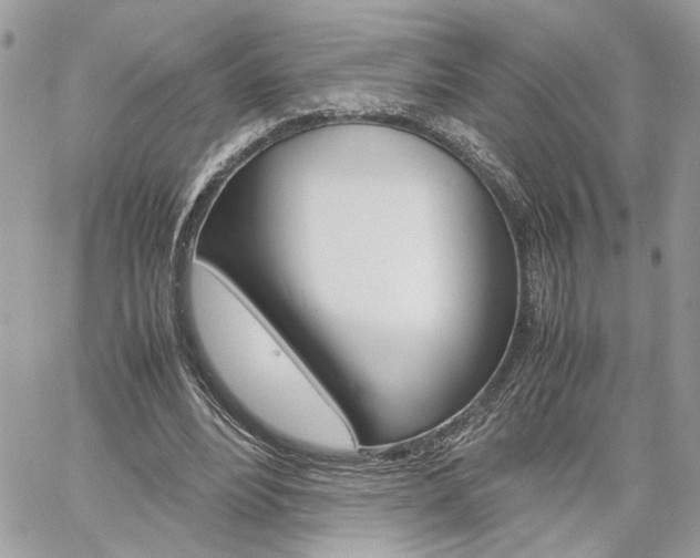 X0000061120488200511180913