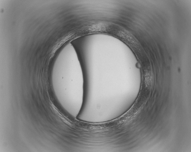 X0000061120490200511180913