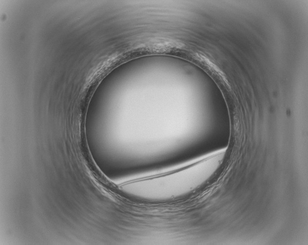 X0000061120493200511180913