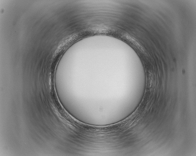 X0000061120494200511180913