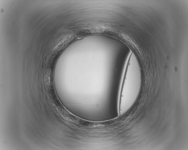 X0000061120501200511180913