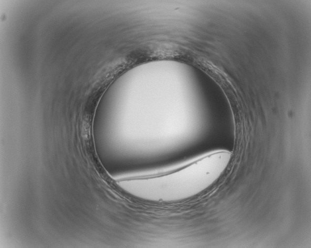 X0000061120517200511180913