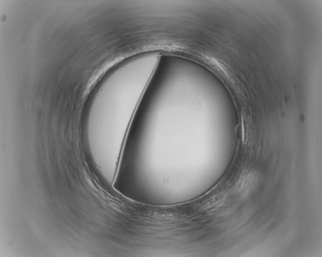 X0000061120531200511180912