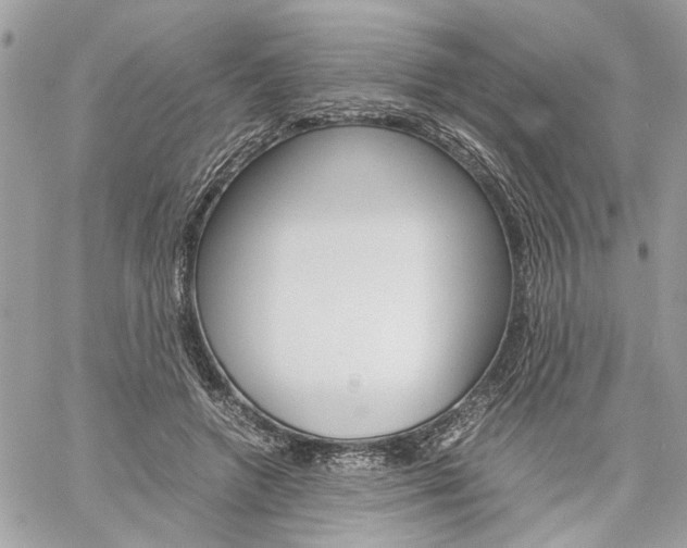 X0000061120546200511180912