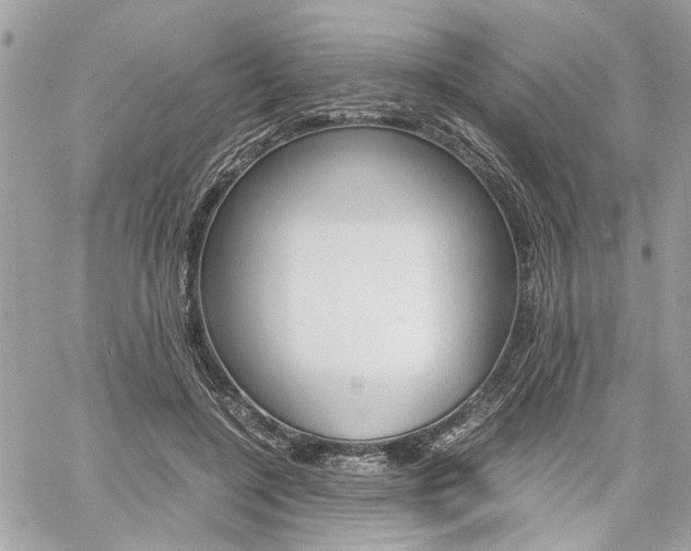 X0000061120548200511180912
