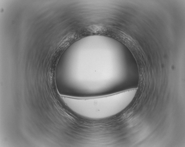 X0000061120558200511180912