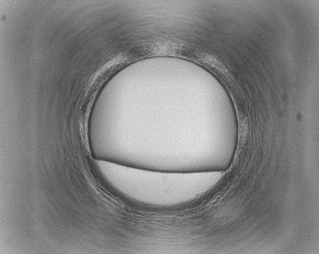 X0000061120587200511180911