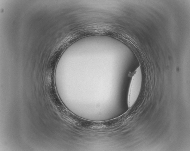 X0000061120595200511180911