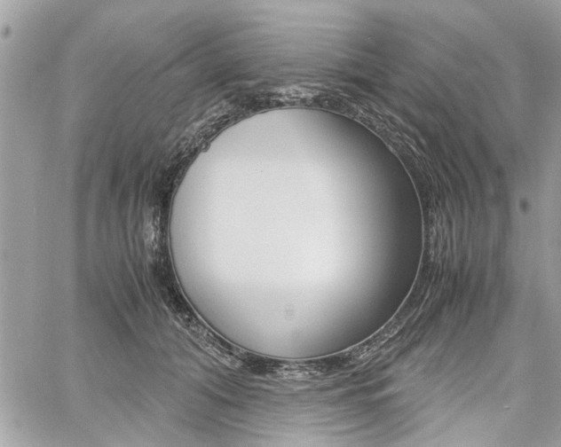 X0000061120608200511180911